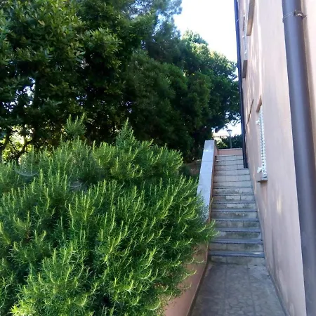 Apartment Riva
