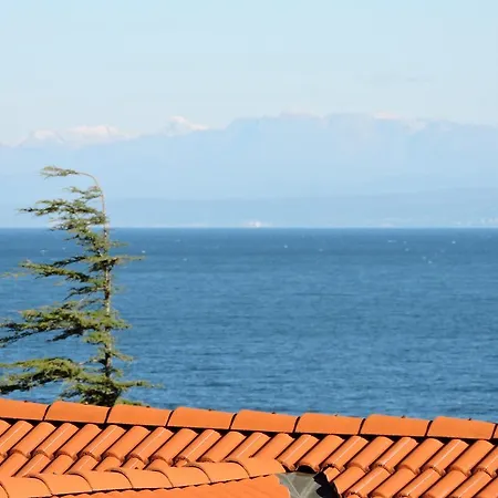 Apartment Riva